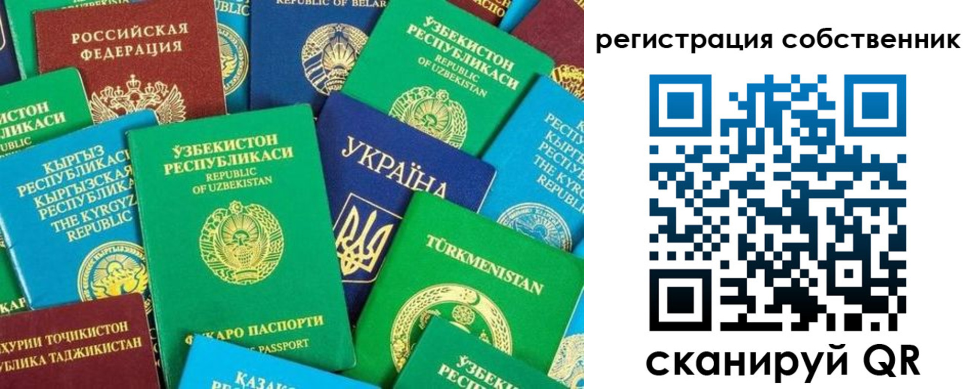 прописка в Бородино